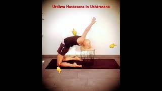 #yoga #shortvideo #yogaforbeginners 49. Yoga Pose Urdhva Hastasana in Ushtrasana with Chair #yogi