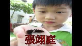 寶貝王國幼兒園第15屆畢業典禮進場影片