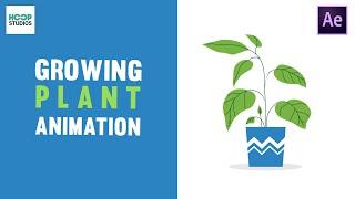 Growing Plant Animation | After Effects Tutorial