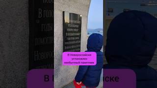 что такое хамса #рыба #Природа #BlackSea #Новороссийск #черноморскоепобережье #видеодляглухих