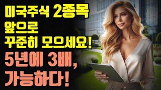 미국주식 2종목 앞으로 꾸준히 모으세요! 5년에 3배 가능하다