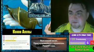 Кокон Акулы.