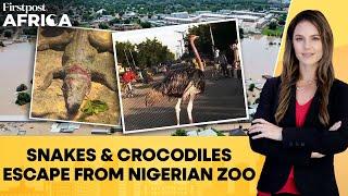 Wild Animals Including Snakes, Crocodiles Escape From Nigerian Zoo After Floods| Firstpost Africa