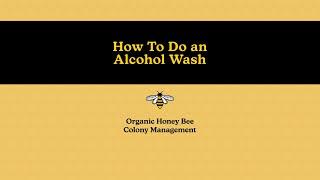 Organic Honey Bee Colony Management: How To Do an Alcohol Wash