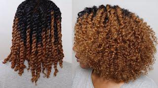 Twist Out or Mini Twists | Cute Natural Hair Styles | 3c/4a Hair