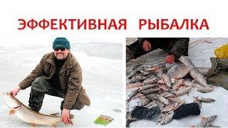 Зимняя Прикормка Для Плотвы