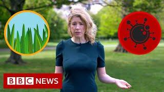 Hay fever or coronavirus: The symptoms compared - BBC News