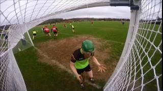 Fitzgibbon Cup: Carlow IT denied goal by Barry Kelly's umpires