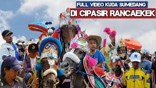 Sumedang renggong horse in Rancaekek full video - Dancing horse video