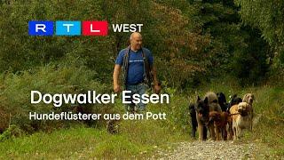 Dogwalker Essen: Hundeflüsterer aus dem Pott | RTL WEST, 06.10.2023