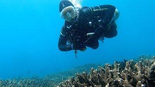 Beautiful, beautiful Bali reefs. 110 minute 2 km long dive. Episode 295