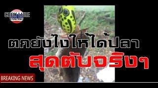 กบยางสุดตับ-CHOK LURE THAILAND