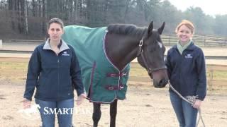 How To Buy a Turnout Blanket