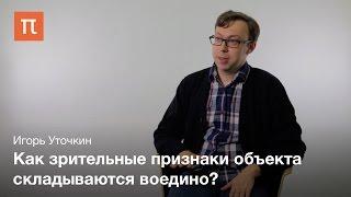 Предвнимание и внимание Игорь Уточкин