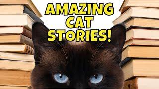 A Cat Accurately Predicted up to 100 DEATHS! | 8 TRUE Cat Stories