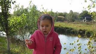 Н. А. Некрасов.«Есть женщины в русских селеньях...» Камилле 3 года.