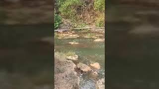 Wisata alam Tuban Puncak Langseh, air terjun Banyulangseh