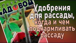 УДОБРЕНИЯ ДЛЯ РАССАДЫ, когда и чем подкармливать рассаду