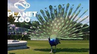 Brand New Animal Revealed! | Planet Zoo Update