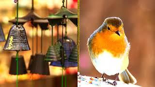 Mixed Wind Chimes and Birds | Relaxation Sounds | 10 hours