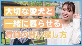 愛犬と一緒に暮らせるペット可賃貸物件の賢い探し方【初心者必見！賃貸暮らしガイド】