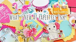 What's NEW, Let's Take A Look! | Papertrey Ink JUNE 2024 Release