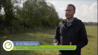 Shared Airspace: Interview with Eric Neuling (NABU)