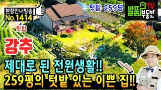 (급매) 석달만에 또 내리게 되었습니다!! 충남 금산 전원주택 토지 매매 급매물 다양한 작물 재배 가능한 259평의 텃밭 고급 인테리어의 숲속 주택 금산부동산 - 발품부동산TV