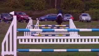 Emily King: Mr Hiho showjumping in the CIC*** at Burnham Market