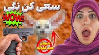 وااای این حیوون ضدگلوله اس! | سعی کن نگی وااای