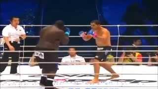 RODRIGO 'MINOTAURO' NOGUEIRA VS ZULUZINHO PRIDE