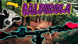 Caldirola Bike Park. 60 km-h at the twisty trails and 1500m above the sea. Only 1 hour from Milan!