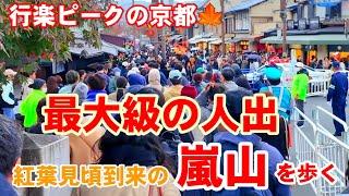 11/23(土祝)行楽ピークの京都最大級の人出の嵐山を歩く【4K】紅葉見頃到来の天龍寺〜ホコ天〜渡月橋/Kyoto Arashiyama Walk