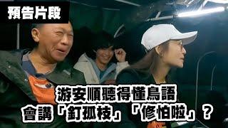 游安順聽得懂鳥語 會講「釘孤枝」「修怕啦」？《花甲少年趣旅行》｜MyVideo線上看