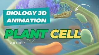 The Secret World Inside Plant Cells - 3D Animation Reveals!