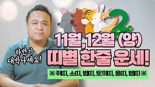 신점으로 보는 양력11월,12월 띠별한줄운세 하반기에 모두 대박나세요/ 강남용한점집