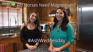 Do Horses Need Magnesium? | #AshWednesday