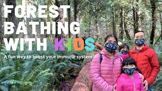 #3. HOW TO RESET YOUR BRAIN &BOOST IMMUNE SYSTEM with FOREST BATHING | Shinrin-Yoku | Heal in Nature