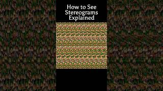 How to See Stereograms #opticalillusions #tips #stereogram #magiceye #mushroom #cute #3d