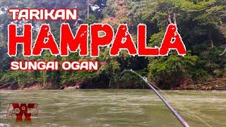 SENSASI CASTING HAMPALA | IKAN ARUS DERAS | SUNGAI OGAN