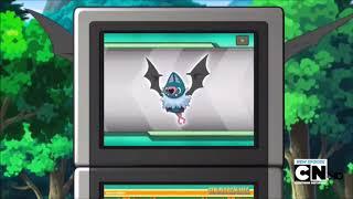 Swoobat Pokédex Entry - The Four Seasons Of Sawsbuck