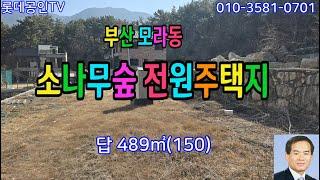 NO.716번. 부산 모라동 백양산 숲속 전원주택지,건축허가득,답489㎡(150) 대형차진입