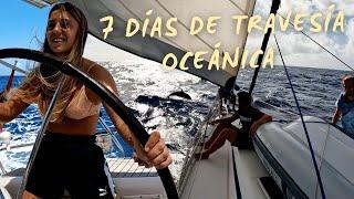 Cruzando el Mar Caribe en velero / Encuentro con ballenas , delfines y marlin Ep. 32