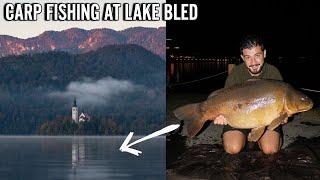 LAKE BLED CARP FISHING - Catching ENORMOUS carp on holiday!