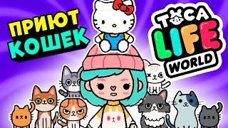 СОЗДАЛА ПРИЮТ для КОТИКОВ в Тока Бока  ► Toca Life world