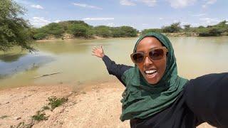 BARWAQO EVERYWHERE | Rainy Season in HARGEISA SOMALILAND 2024