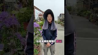 【植感日常分享】櫻花到底好不好種？櫻花的種植條件與注意事項 #shorts #櫻花 #盆栽 #阿薰的日常