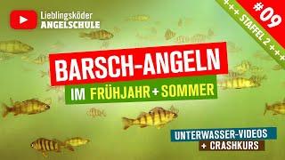 Barsch Angeln im Frühjahr + Sommer  (Staffel 2, Folge 9)