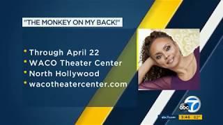 Debbi Morgan ABC7 interview (Monkey on My Back)