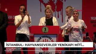 İstanbul- Hayvanseverler Yenikapı Miting alanında buluştu; sanatçılar sokak hayvanları için şarkı...